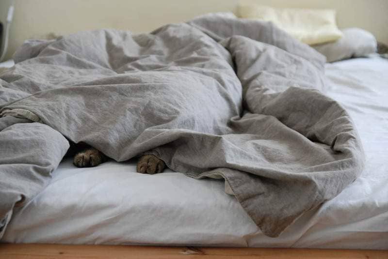 How to Clean Your Mattress... It's Dirtier Than You Think! How to clean urine, blood, dirt and dust mites from your mattress. Get rid of stains, smells, blood, vomit and more. Deep clean your mattress for a better night's sleep!
