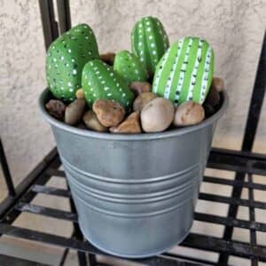 Painted Rock Project - Cute Cacti!