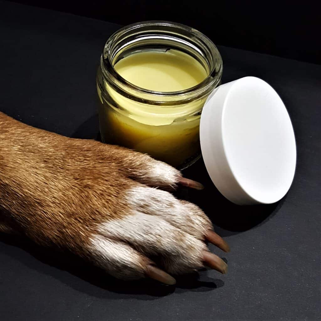 Protect your dogs paws with homemade balm.