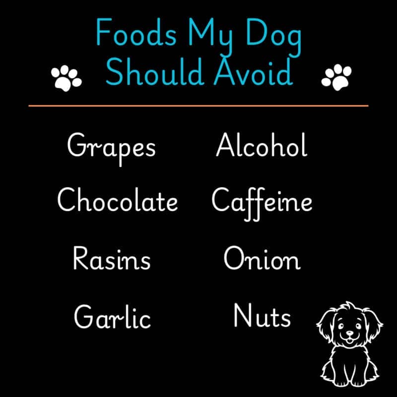 Foods My Dog Should Avoid