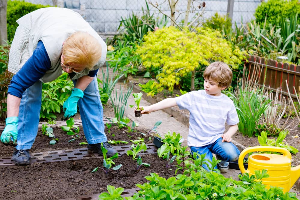 child planting in a garden