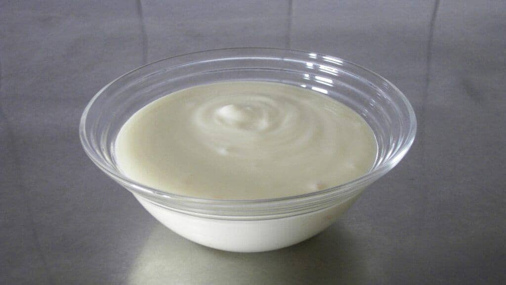 Plain yogurt is a great dog diarrhea home remedy