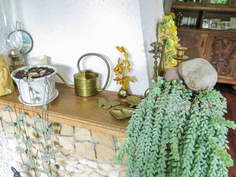 Trailing plants are great indoor houseplants to drape over a shelf.